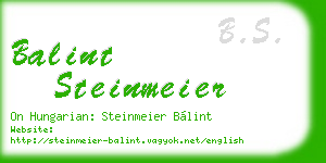 balint steinmeier business card